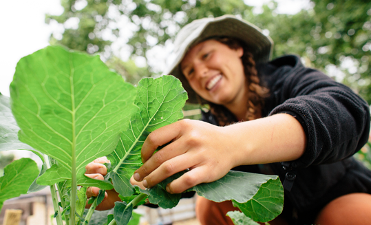 photo of a woman gardening